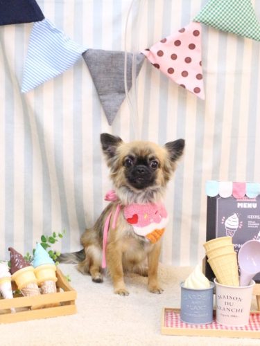 20250517むぎちゃん